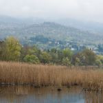 Gavirate - Lago de Varese