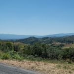 Montalto Uffugo - Cosenza - Calabria - Italia
