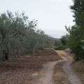 Chiaramonte Gulfi - Ragusa - Sicilia - Italia