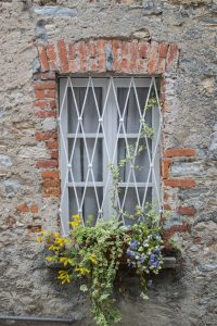 Arolo - Lago Maggiore - Varese - Italia
