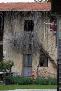 Arolo - Lago Maggiore - Varese - Italia