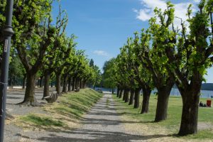 Angera - Lago Maggiore - Varese