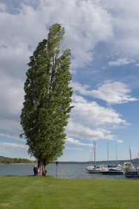 Angera - Lago Maggiore - Varese