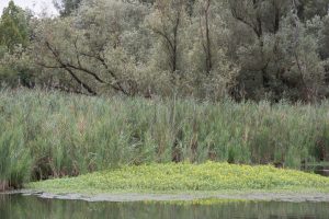 Porticciolo di Capolago - Varese