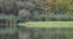 Porticciolo di Capolago - Varese