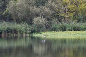 Porticciolo di Capolago - Varese