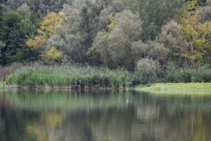 Porticciolo di Capolago - Varese