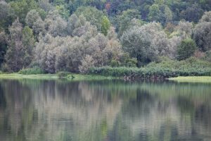 Porticciolo di Capolago - Varese