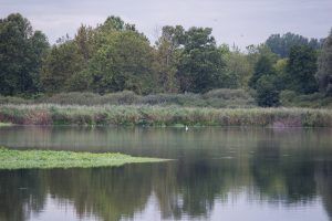 Porticciolo di Capolago - Varese