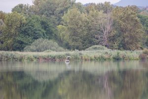 Porticciolo di Capolago - Varese