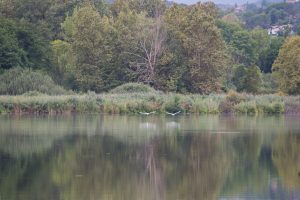 Porticciolo di Capolago - Varese
