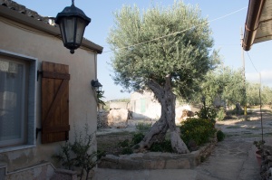 Chiaramonte Gulfi - Ragusa - Sicilia - Italia