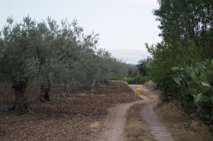 Chiaramonte Gulfi - Ragusa - Sicilia - Italia