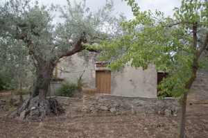 Chiaramonte Gulfi - Ragusa - Sicilia - Italia